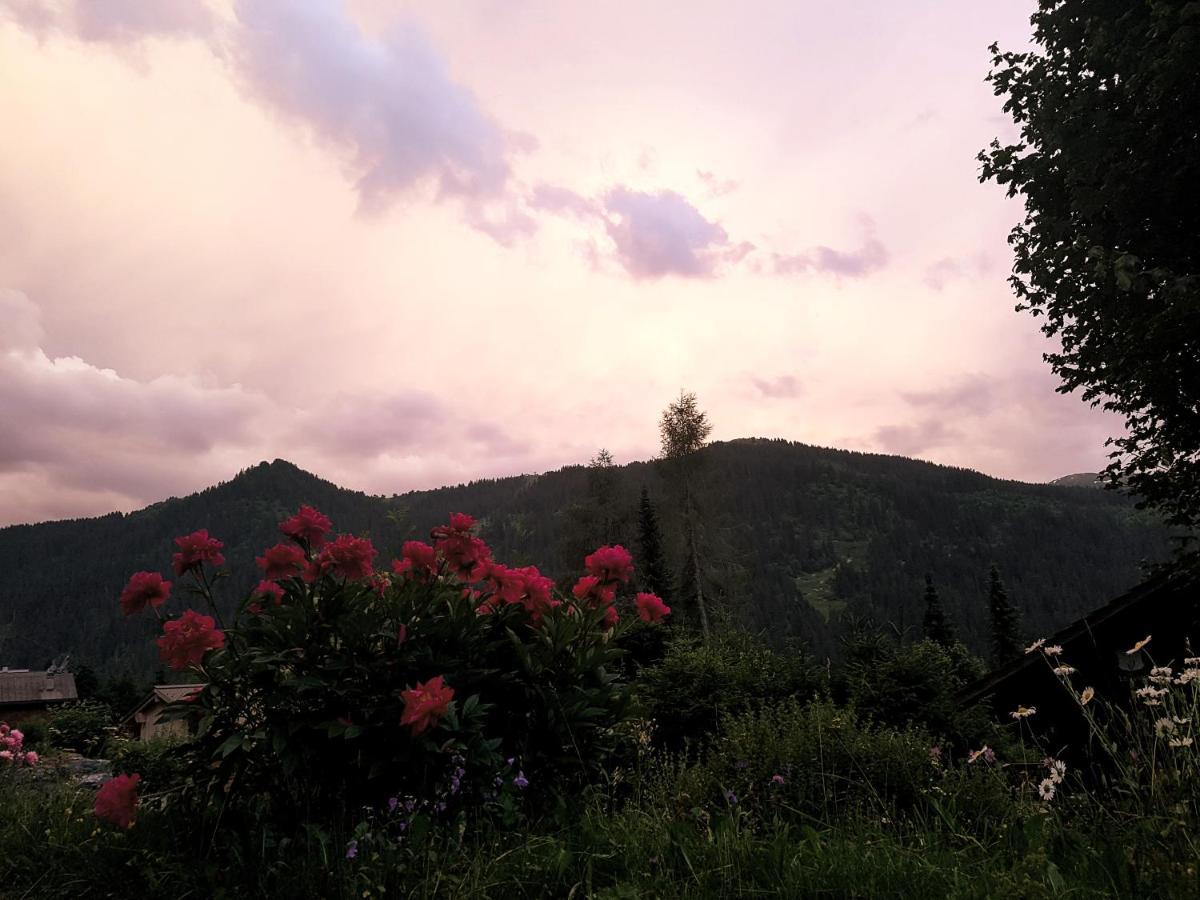Le Castor Bed and Breakfast Morgins Eksteriør billede